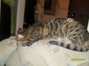 16032012057.JPG (4471 просмотр) <a class='original' href='./download/file.php?id=56593&mode=view' target=_blank>Загрузить оригинал (718.04 КБ)</a>