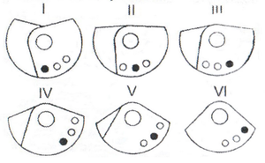 x.png (3253 просмотра) <a class='original' href='./download/file.php?id=56892&mode=view' target=_blank>Загрузить оригинал (220.26 КБ)</a>
