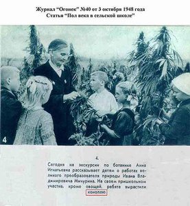 48___.jpg (1590 просмотров) <a class='original' href='./download/file.php?id=57009&mode=view' target=_blank>Загрузить оригинал (53.18 КБ)</a>