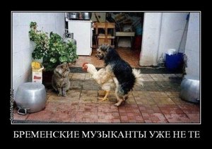 OKesiMqvzD0.jpg (1486 просмотров) <a class='original' href='./download/file.php?id=57166&mode=view' target=_blank>Загрузить оригинал (56.38 КБ)</a>