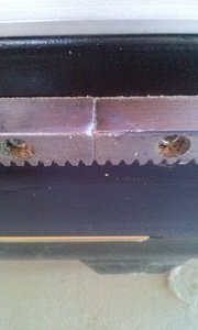 CAM00585.jpg (2171 просмотр) <a class='original' href='./download/file.php?id=57279&mode=view' target=_blank>Загрузить оригинал (875.02 КБ)</a>