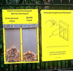 23.jpg (2009 просмотров) <a class='original' href='./download/file.php?id=57510&mode=view' target=_blank>Загрузить оригинал (44.33 КБ)</a>