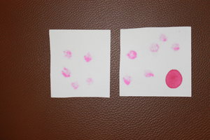 IMG_7485.JPG (3516 просмотров) <a class='original' href='./download/file.php?id=57918&mode=view' target=_blank>Загрузить оригинал (4.72 МБ)</a>