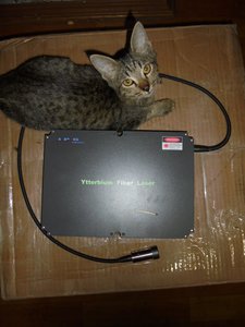 DSC03591 (Копировать).JPG (2424 просмотра) <a class='original' href='./download/file.php?id=58070&mode=view' target=_blank>Загрузить оригинал (193.66 КБ)</a>