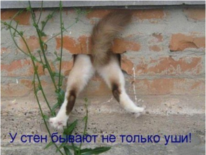 Screenshot - 18.09.2015 , 17_48_40.png (1824 просмотра) <a class='original' href='./download/file.php?id=58269&mode=view' target=_blank>Загрузить оригинал (383.15 КБ)</a>