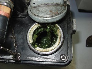 auction-717-034692300 1442682193.jpg (3304 просмотра) <a class='original' href='./download/file.php?id=58550&mode=view' target=_blank>Загрузить оригинал (105.96 КБ)</a>