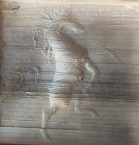 лошадь.jpg (6350 просмотров) <a class='original' href='./download/file.php?id=58620&mode=view' target=_blank>Загрузить оригинал (357.09 КБ)</a>