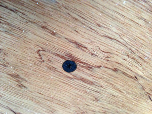 IMG_6652.JPG (2813 просмотров) <a class='original' href='./download/file.php?id=58765&mode=view' target=_blank>Загрузить оригинал (5.49 МБ)</a>