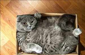 Screenshot - 27.09.2015 , 18_04_52.png (1218 просмотров) <a class='original' href='./download/file.php?id=58961&mode=view' target=_blank>Загрузить оригинал (508.74 КБ)</a>