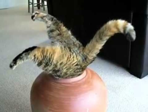 Screenshot - 27.09.2015 , 18_05_13.png (1218 просмотров) <a class='original' href='./download/file.php?id=58963&mode=view' target=_blank>Загрузить оригинал (260.56 КБ)</a>