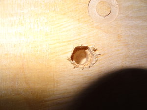 DSC00391.JPG (3584 просмотра) <a class='original' href='./download/file.php?id=59039&mode=view' target=_blank>Загрузить оригинал (3.28 МБ)</a>