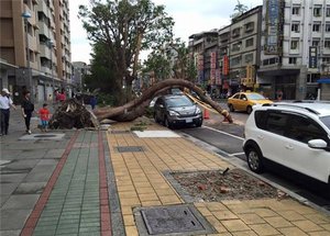 Z111.jpg (2478 просмотров) <a class='original' href='./download/file.php?id=59238&mode=view' target=_blank>Загрузить оригинал (57.27 КБ)</a>