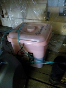 IMG_20151004_134044.jpg (2215 просмотров) <a class='original' href='./download/file.php?id=59439&mode=view' target=_blank>Загрузить оригинал (1.2 МБ)</a>