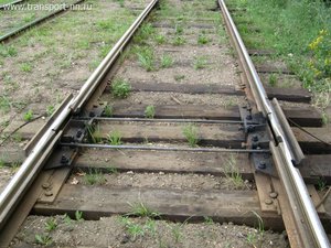 b020cf56c0a366e9938b5b9b0459f319.jpg (3522 просмотра) <a class='original' href='./download/file.php?id=59713&mode=view' target=_blank>Загрузить оригинал (144.99 КБ)</a>