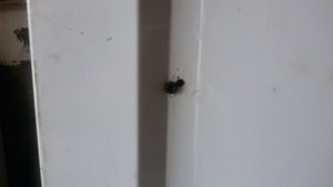 оп...мимо немного левей надо... (3381 просмотр) <a class='original' href='./download/file.php?id=59792&mode=view' target=_blank>Загрузить оригинал (153.72 КБ)</a>