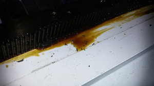 стружка прилагается к станку. (3381 просмотр) <a class='original' href='./download/file.php?id=59799&mode=view' target=_blank>Загрузить оригинал (215.51 КБ)</a>