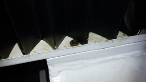 а то сильно тихо передвигаться будет))) (3381 просмотр) <a class='original' href='./download/file.php?id=59801&mode=view' target=_blank>Загрузить оригинал (176.27 КБ)</a>