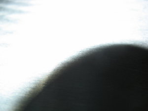 IMG_1442.JPG (9350 просмотров) <a class='original' href='./download/file.php?id=60104&mode=view' target=_blank>Загрузить оригинал (727.41 КБ)</a>