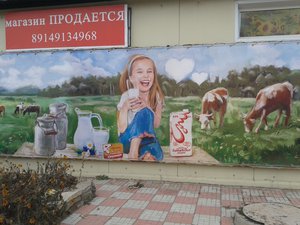 20151015_141328.jpg (2265 просмотров) <a class='original' href='./download/file.php?id=60770&mode=view' target=_blank>Загрузить оригинал (2.08 МБ)</a>