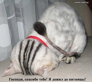 41pyatnnisa.jpg (1794 просмотра) <a class='original' href='./download/file.php?id=60950&mode=view' target=_blank>Загрузить оригинал (42.28 КБ)</a>