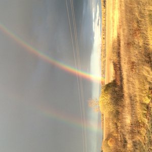 image.jpg (2327 просмотров) <a class='original' href='./download/file.php?id=61070&mode=view' target=_blank>Загрузить оригинал (1014.19 КБ)</a>