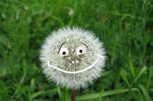 image (4)4.jpg (1808 просмотров) <a class='original' href='./download/file.php?id=61087&mode=view' target=_blank>Загрузить оригинал (38.34 КБ)</a>