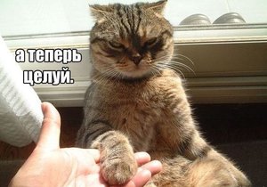 1364452148_735915469858.jpg (2425 просмотров) <a class='original' href='./download/file.php?id=61209&mode=view' target=_blank>Загрузить оригинал (63.61 КБ)</a>