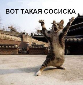 0WUaOla5xik.jpg (2305 просмотров) <a class='original' href='./download/file.php?id=61231&mode=view' target=_blank>Загрузить оригинал (106.01 КБ)</a>