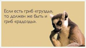 u6NjWIegaLs.jpg (1956 просмотров) <a class='original' href='./download/file.php?id=61436&mode=view' target=_blank>Загрузить оригинал (16.01 КБ)</a>