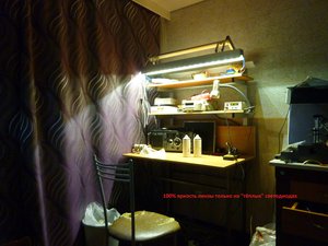 P1060852.JPG (5448 просмотров) <a class='original' href='./download/file.php?id=61572&mode=view' target=_blank>Загрузить оригинал (2.66 МБ)</a>