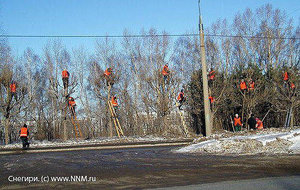 45.jpg (1917 просмотров) <a class='original' href='./download/file.php?id=61928&mode=view' target=_blank>Загрузить оригинал (78.18 КБ)</a>