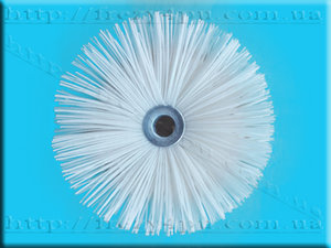 sjetca-cat.jpg (2931 просмотр) <a class='original' href='./download/file.php?id=62607&mode=view' target=_blank>Загрузить оригинал (125.07 КБ)</a>