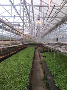 IMG_20151103_114213.jpg (4964 просмотра) <a class='original' href='./download/file.php?id=62660&mode=view' target=_blank>Загрузить оригинал (1.4 МБ)</a>