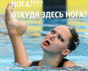 FB_IMG_1446880166250.jpg (1686 просмотров) <a class='original' href='./download/file.php?id=62975&mode=view' target=_blank>Загрузить оригинал (28.46 КБ)</a>