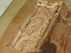 IMG_0318.JPG (6433 просмотра) <a class='original' href='./download/file.php?id=63418&mode=view' target=_blank>Загрузить оригинал (2.84 МБ)</a>