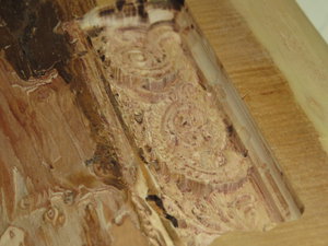 IMG_0319.JPG (6433 просмотра) <a class='original' href='./download/file.php?id=63419&mode=view' target=_blank>Загрузить оригинал (2.89 МБ)</a>