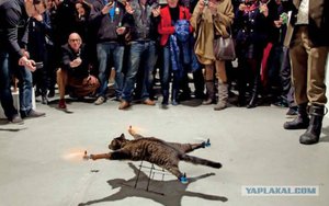 1026481.jpg (3948 просмотров) <a class='original' href='./download/file.php?id=63802&mode=view' target=_blank>Загрузить оригинал (48.85 КБ)</a>