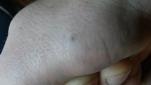 20151122_202325.jpg (3012 просмотров) <a class='original' href='./download/file.php?id=64181&mode=view' target=_blank>Загрузить оригинал (1.22 МБ)</a>