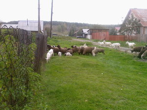 Photo-0047.jpg (2694 просмотра) <a class='original' href='./download/file.php?id=64434&mode=view' target=_blank>Загрузить оригинал (339.08 КБ)</a>