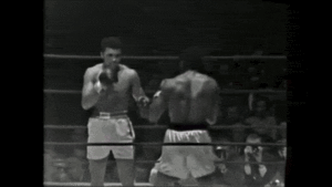 ali.gif (1964 просмотра) <a class='original' href='./download/file.php?id=64807&mode=view' target=_blank>Загрузить оригинал (1.43 МБ)</a>