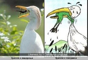 1334041906.jpg (2157 просмотров) <a class='original' href='./download/file.php?id=65165&mode=view' target=_blank>Загрузить оригинал (39.7 КБ)</a>