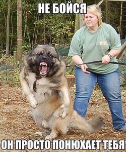 -QsWt_CHiMQ.jpg (2128 просмотров) <a class='original' href='./download/file.php?id=65334&mode=view' target=_blank>Загрузить оригинал (105.93 КБ)</a>