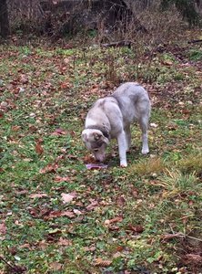 image.jpg (2116 просмотров) <a class='original' href='./download/file.php?id=65347&mode=view' target=_blank>Загрузить оригинал (480.58 КБ)</a>