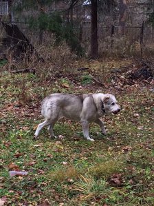 image.jpg (2116 просмотров) <a class='original' href='./download/file.php?id=65348&mode=view' target=_blank>Загрузить оригинал (385.69 КБ)</a>