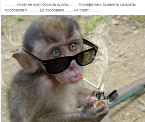 Screenshot - 07.12.2015 , 23_07_38.png (2279 просмотров) <a class='original' href='./download/file.php?id=65446&mode=view' target=_blank>Загрузить оригинал (560.2 КБ)</a>