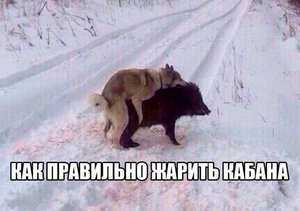 je5xRZZNM-M.jpg (1714 просмотров) <a class='original' href='./download/file.php?id=66382&mode=view' target=_blank>Загрузить оригинал (53.95 КБ)</a>