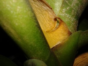 20151218_014443.jpg (3468 просмотров) <a class='original' href='./download/file.php?id=66395&mode=view' target=_blank>Загрузить оригинал (1.3 МБ)</a>