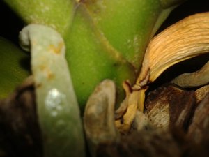 20151218_014448.jpg (3468 просмотров) <a class='original' href='./download/file.php?id=66396&mode=view' target=_blank>Загрузить оригинал (1.1 МБ)</a>