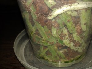 20151218_014459.jpg (3468 просмотров) <a class='original' href='./download/file.php?id=66397&mode=view' target=_blank>Загрузить оригинал (1.51 МБ)</a>