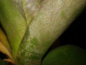 20151218_014912.jpg (3468 просмотров) <a class='original' href='./download/file.php?id=66398&mode=view' target=_blank>Загрузить оригинал (1.72 МБ)</a>